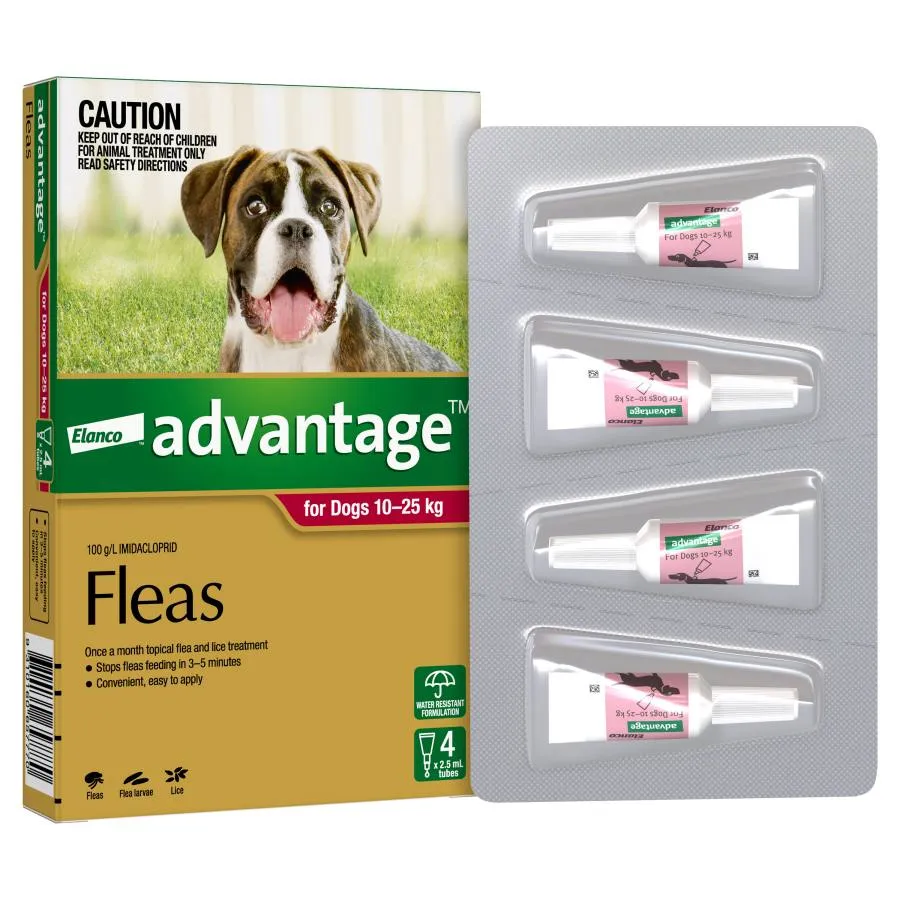 Advantage Dog Large Red