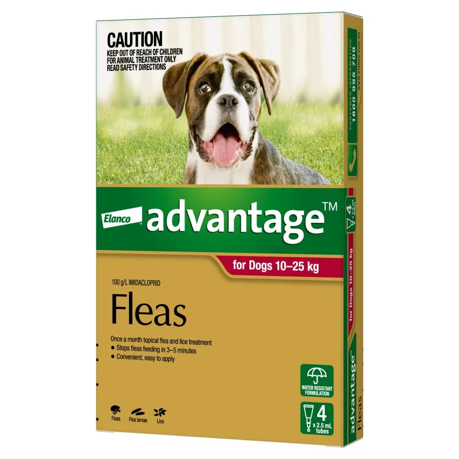 Advantage Dog Large Red
