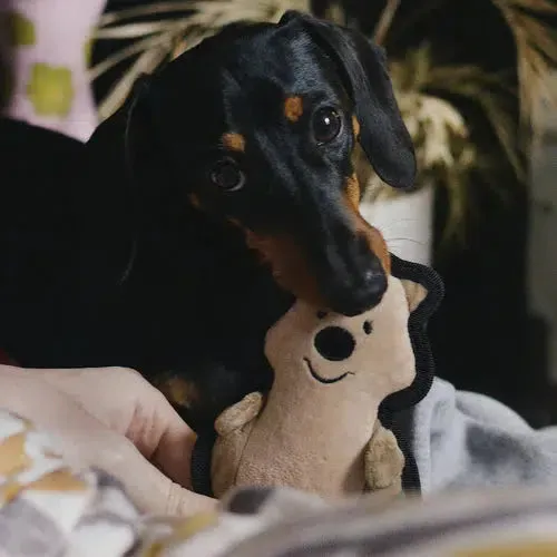 Beco - Recycled Rough & Tough - Quinn the Quokka Dog Toy