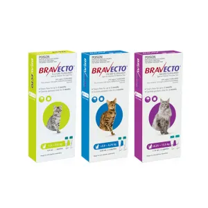 Bravecto Spot On for Cats