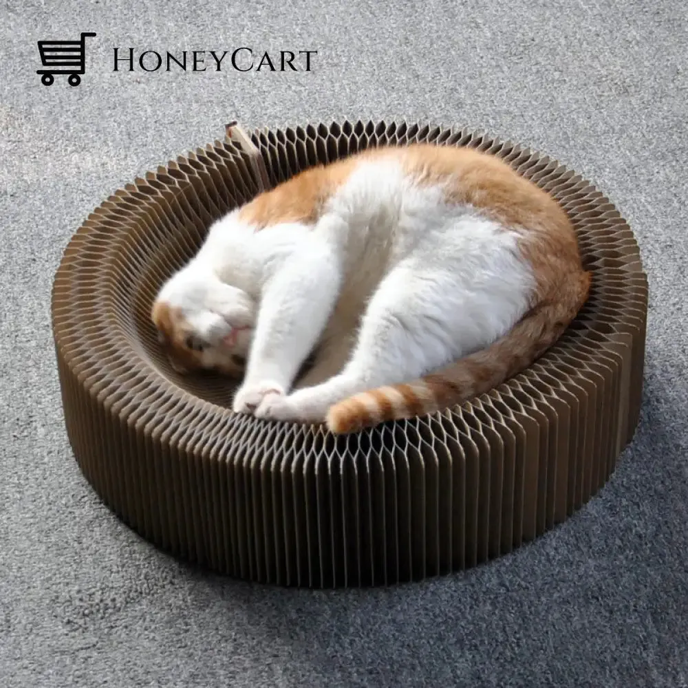 Cat Magic Foldable Scratch Toy Board