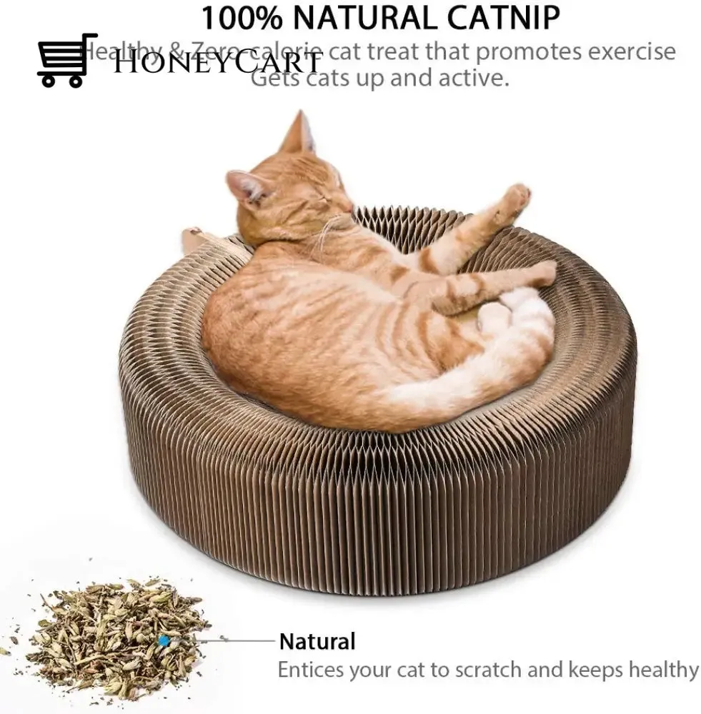 Cat Magic Foldable Scratch Toy Board