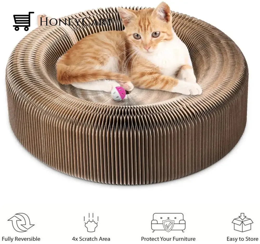 Cat Magic Foldable Scratch Toy Board