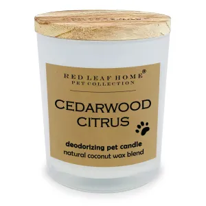 Cedarwood Citrus Pet Deodorizing