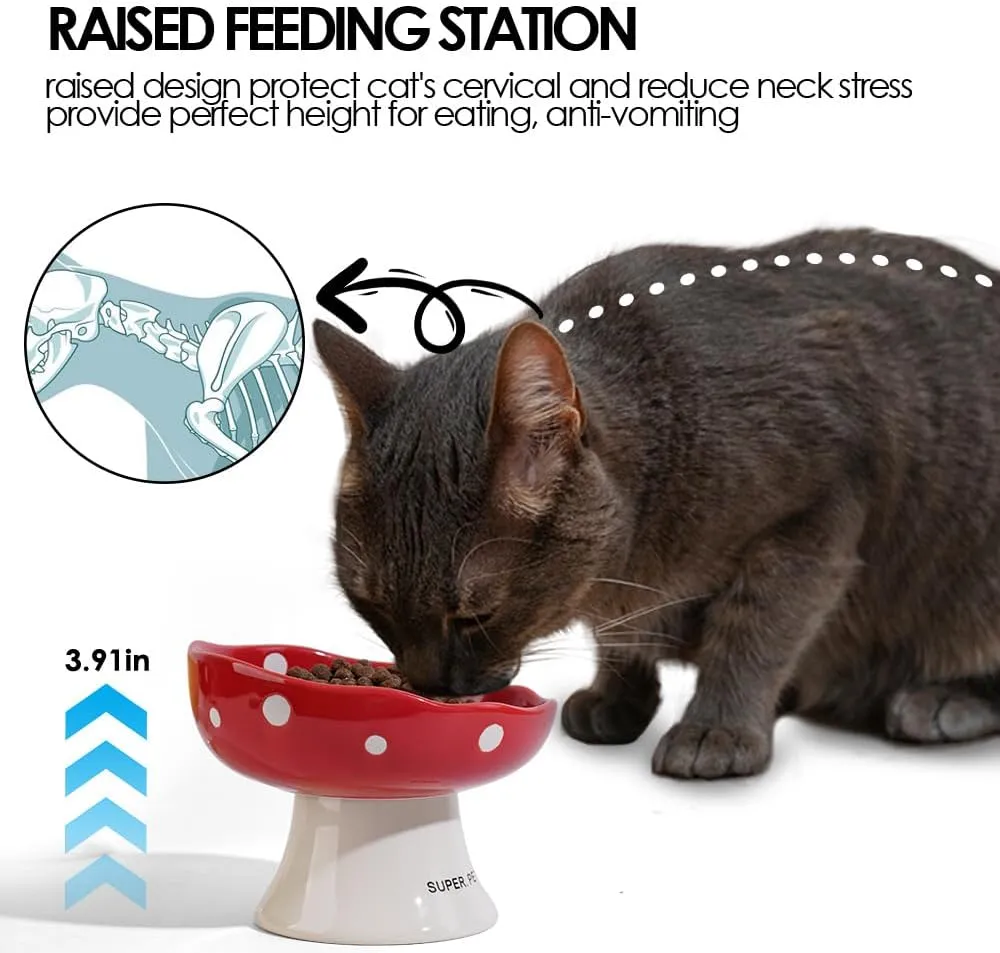 Ceramic Elevated Cat Bowls, Tilted Raised Pet Dish Anti Vomit Kitten Bowl for Indoor Cats, Whisker Friendly Pet Food and Water Bowl for Kitten, Cat, Puppies, Dishwasher Safe (Black)