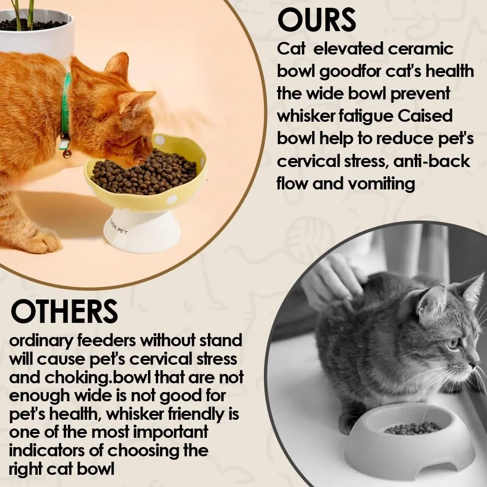 Ceramic Elevated Cat Bowls, Tilted Raised Pet Dish Anti Vomit Kitten Bowl for Indoor Cats, Whisker Friendly Pet Food and Water Bowl for Kitten, Cat, Puppies, Dishwasher Safe (Black)