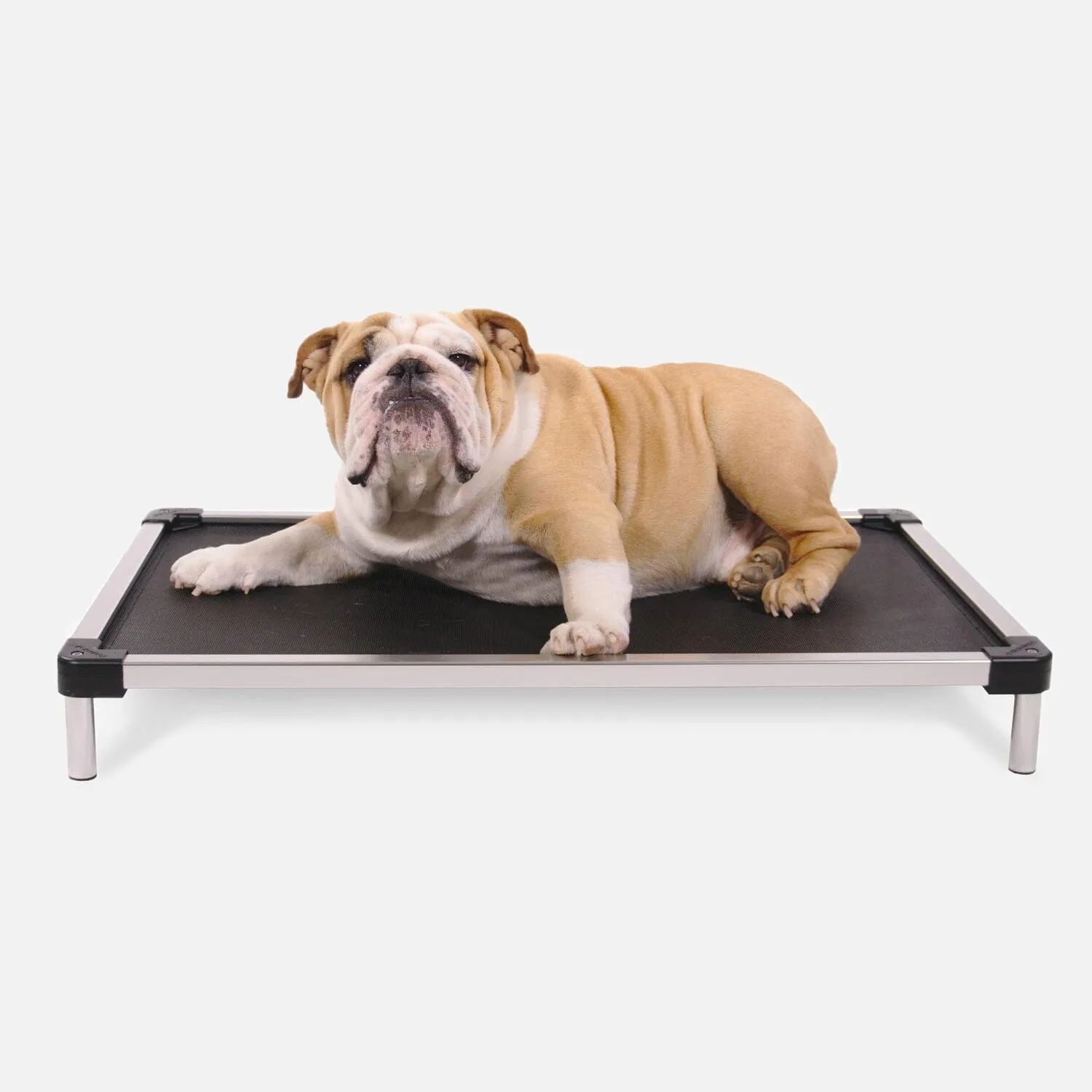 Chew Proof Armored™ Mesh Elevated Dog Bed - Open Box