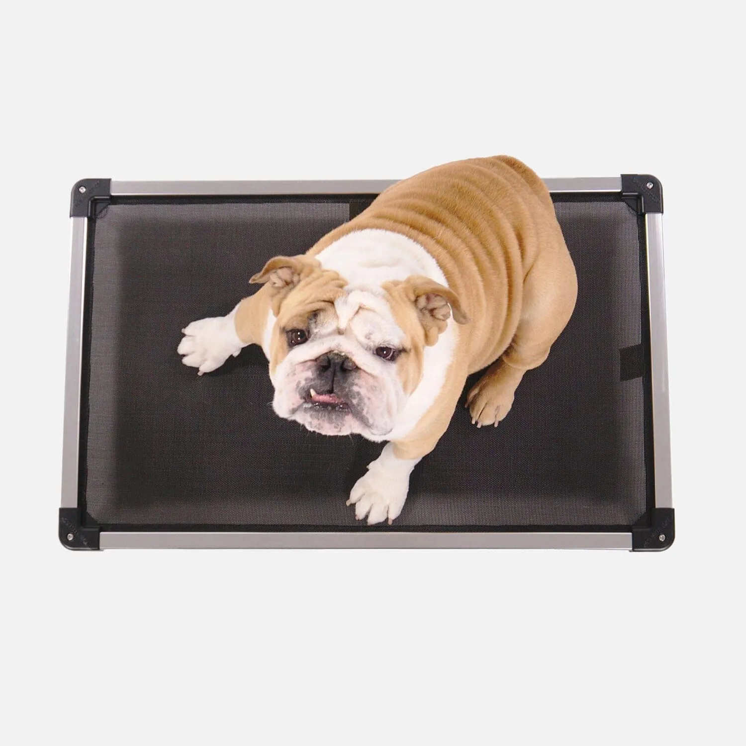 Chew Proof Armored™ Mesh Elevated Dog Bed - Open Box