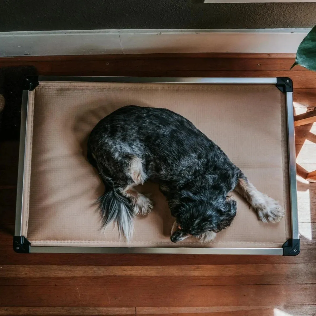Chew Proof Armored™ Padded Elevated Dog Crate Bed - Open Box