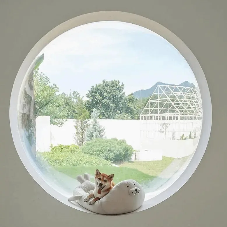 Comfortable Seal Pet Bed – A Must-Have for Pet Lovers