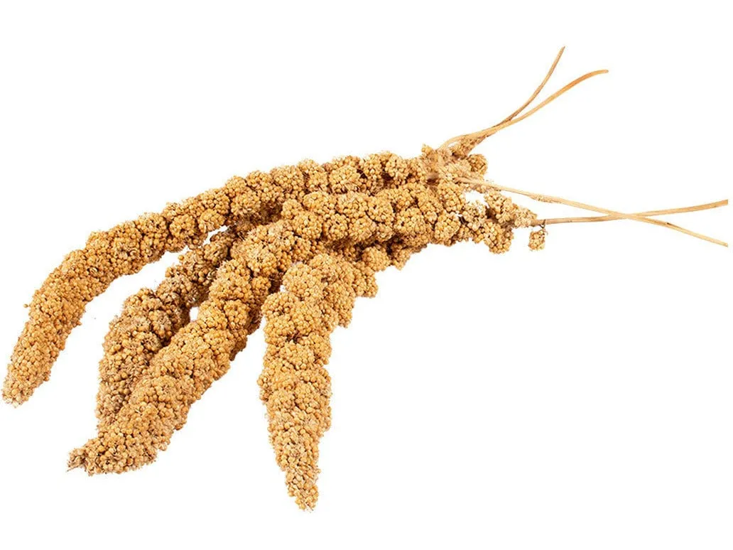 Country Millet Sprays 150Gr