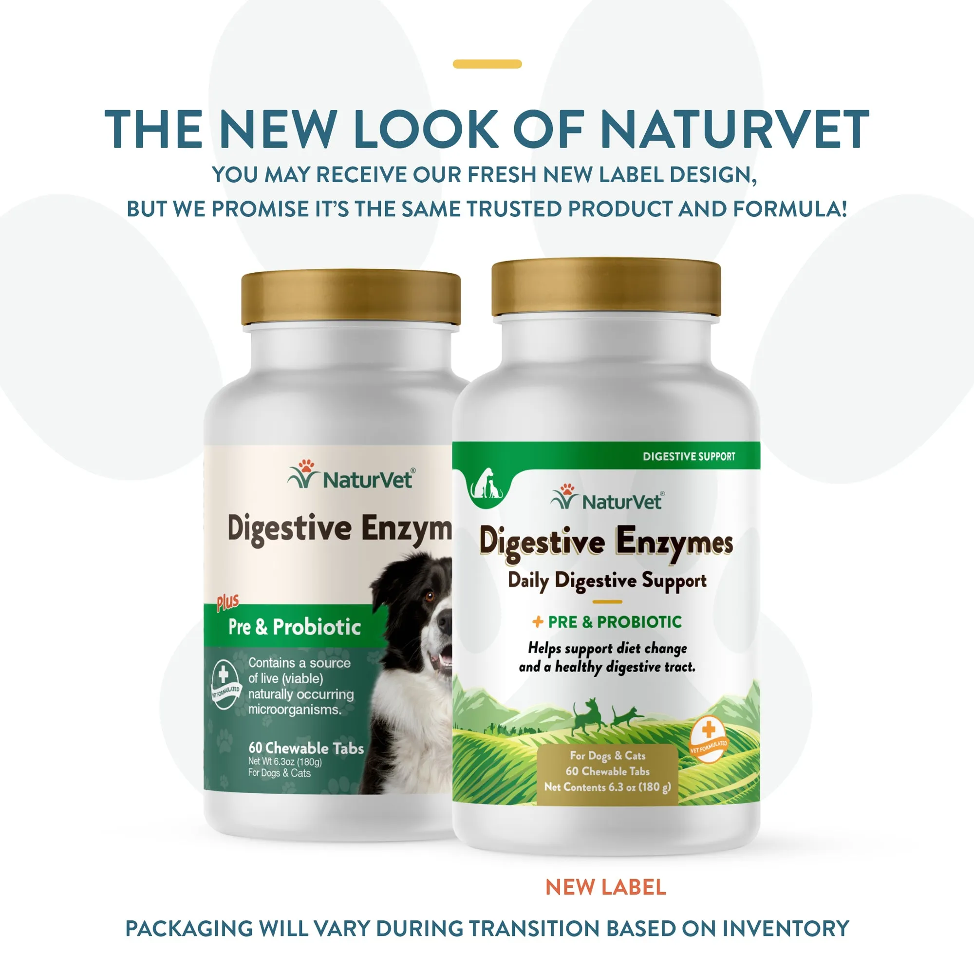 Digestive Enzymes Chewable Tablets with Prebiotics & Probiotics