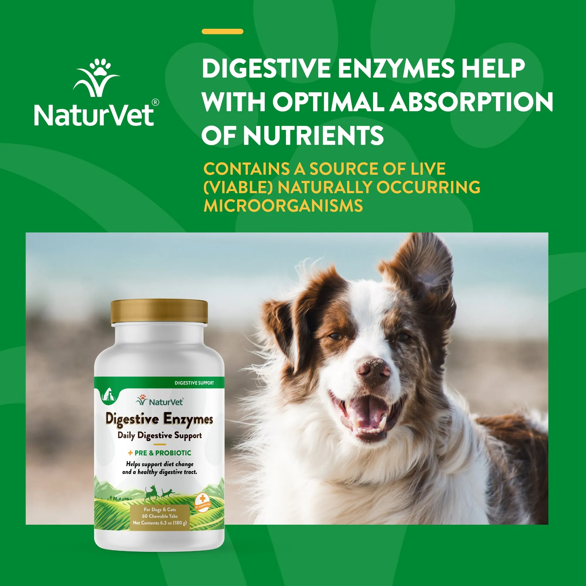 Digestive Enzymes Chewable Tablets with Prebiotics & Probiotics