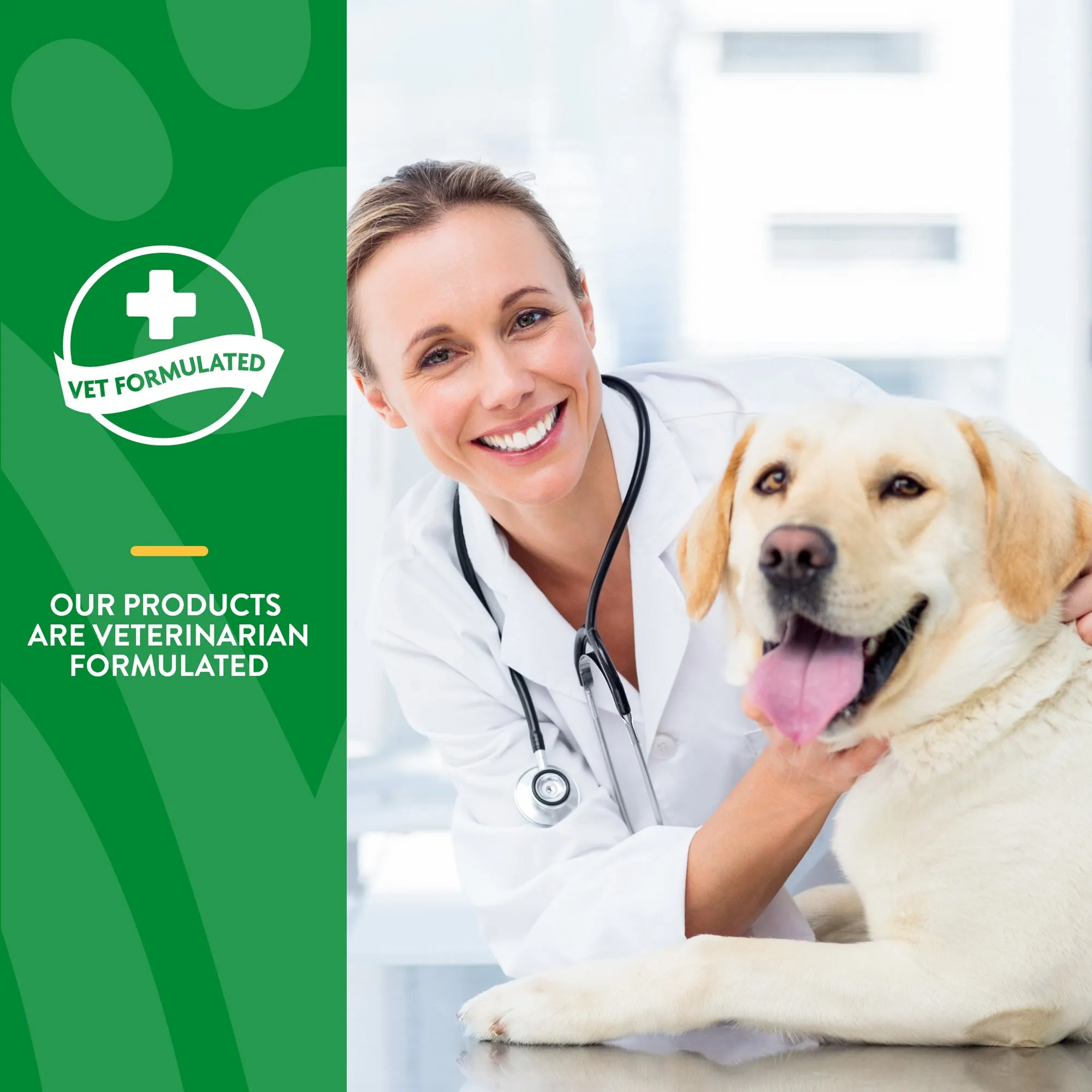 Digestive Enzymes Chewable Tablets with Prebiotics & Probiotics