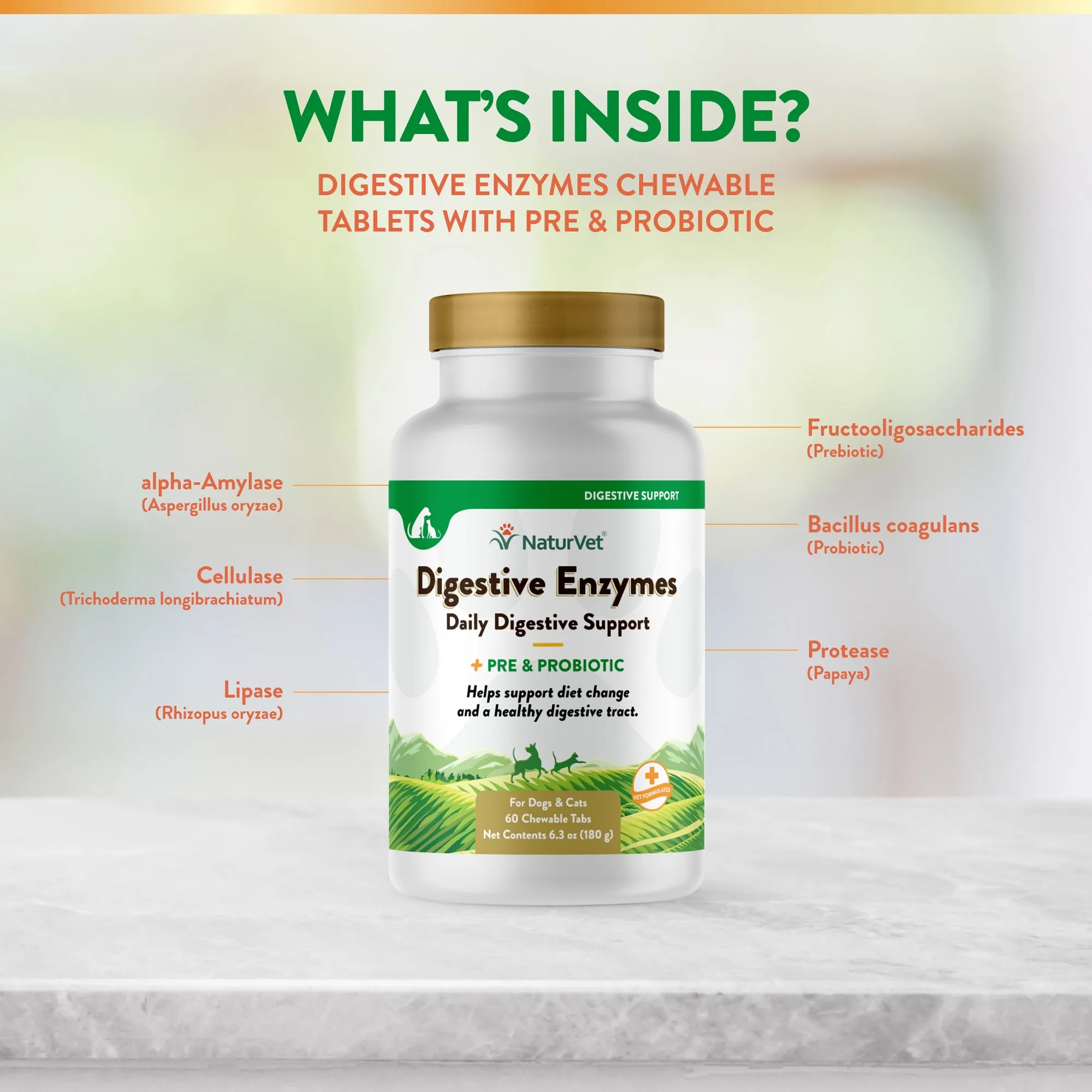 Digestive Enzymes Chewable Tablets with Prebiotics & Probiotics