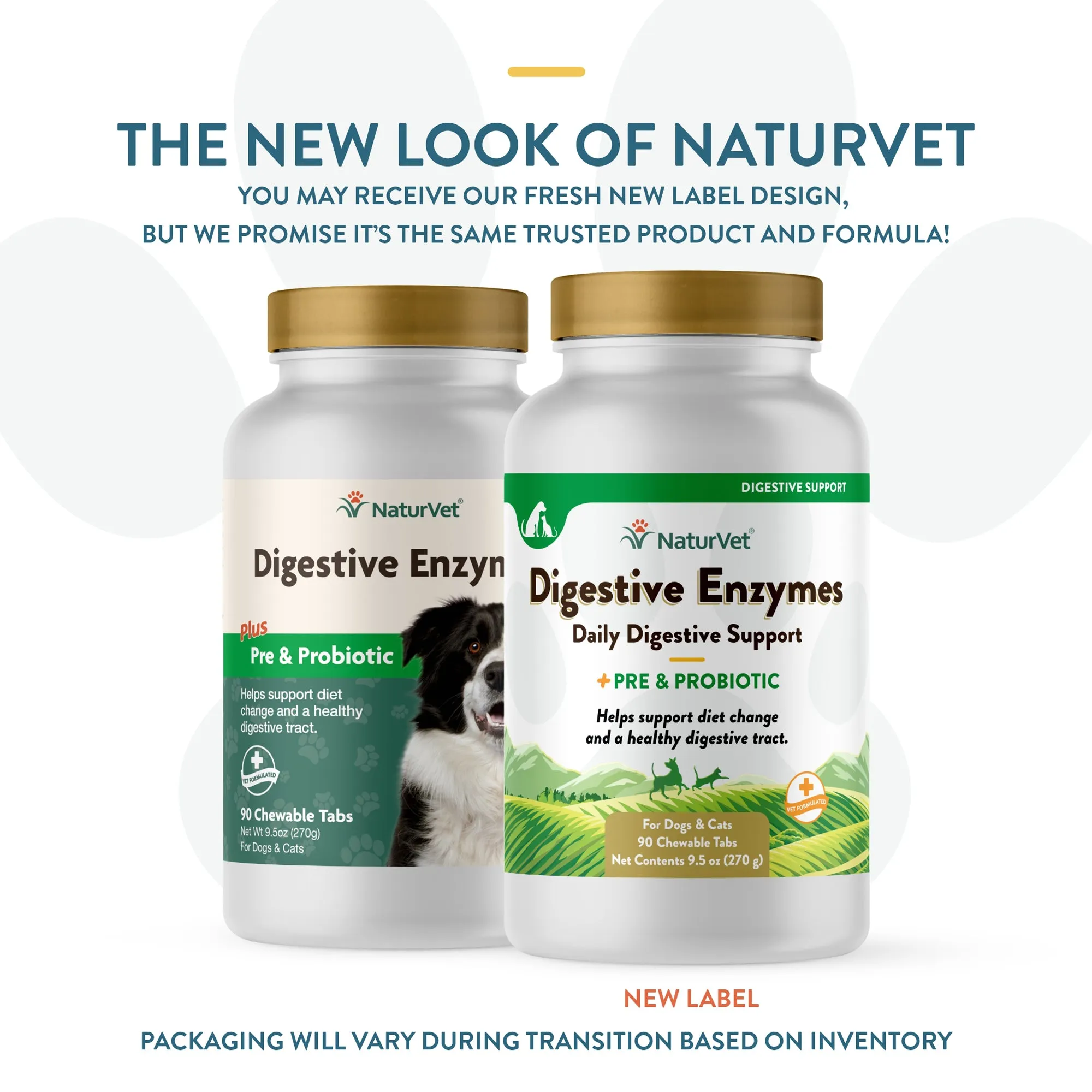Digestive Enzymes Chewable Tablets with Prebiotics & Probiotics