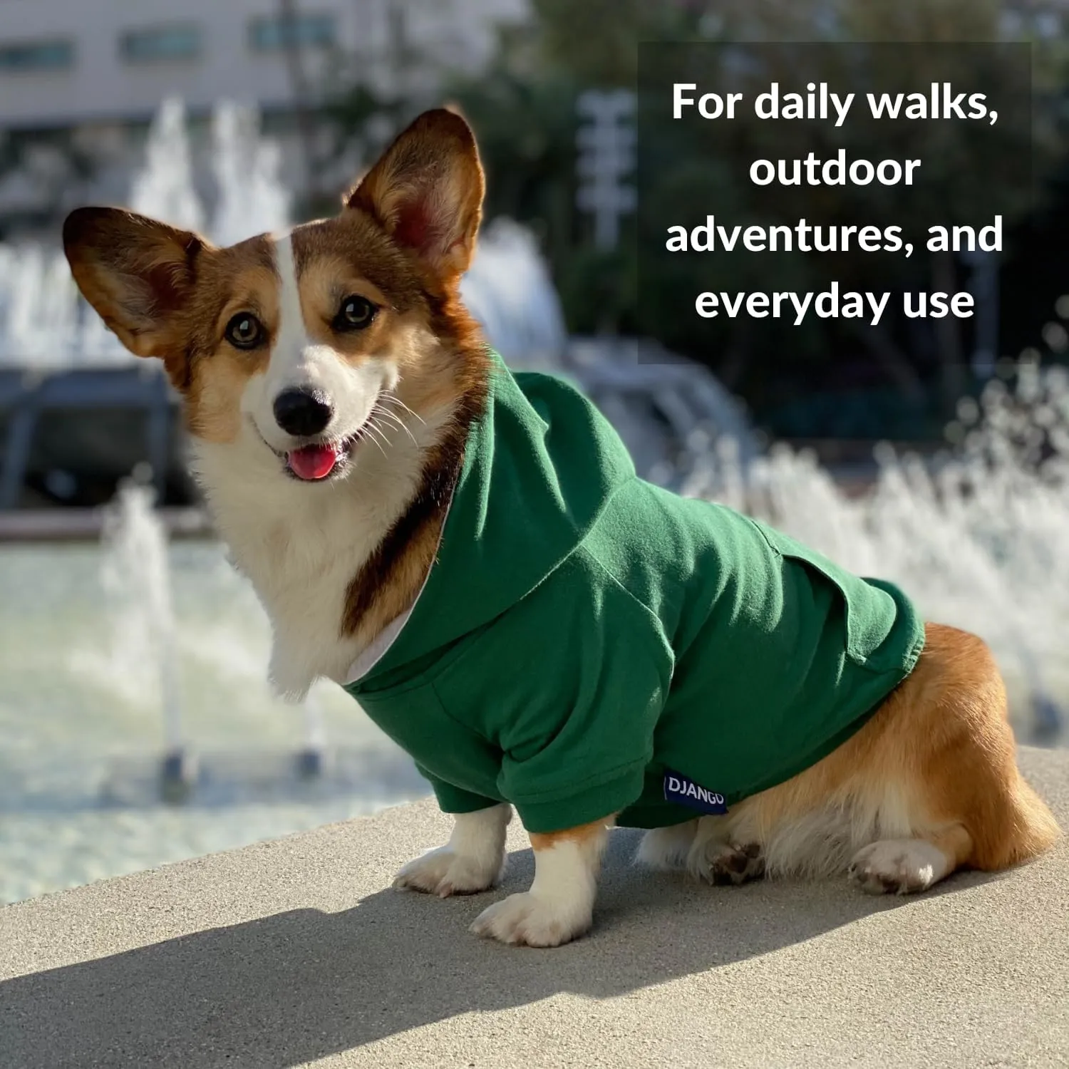 DJANGO Fully Lined Hoodie for Dog - Soft, Stretchy, and Cozy Sweatshirts for Dogs - Heather Grey Winter Dog Sweaters for Dachshunds and Small Dogs - Warm Dog Hoodie Medium with Elastic Waistband