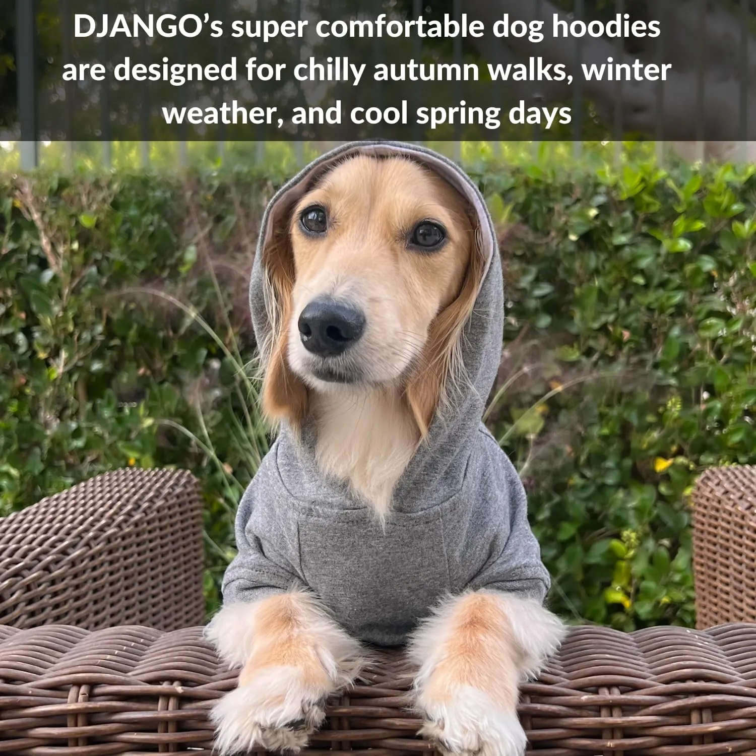 DJANGO Fully Lined Hoodie for Dog - Soft, Stretchy, and Cozy Sweatshirts for Dogs - Heather Grey Winter Dog Sweaters for Dachshunds and Small Dogs - Warm Dog Hoodie Medium with Elastic Waistband
