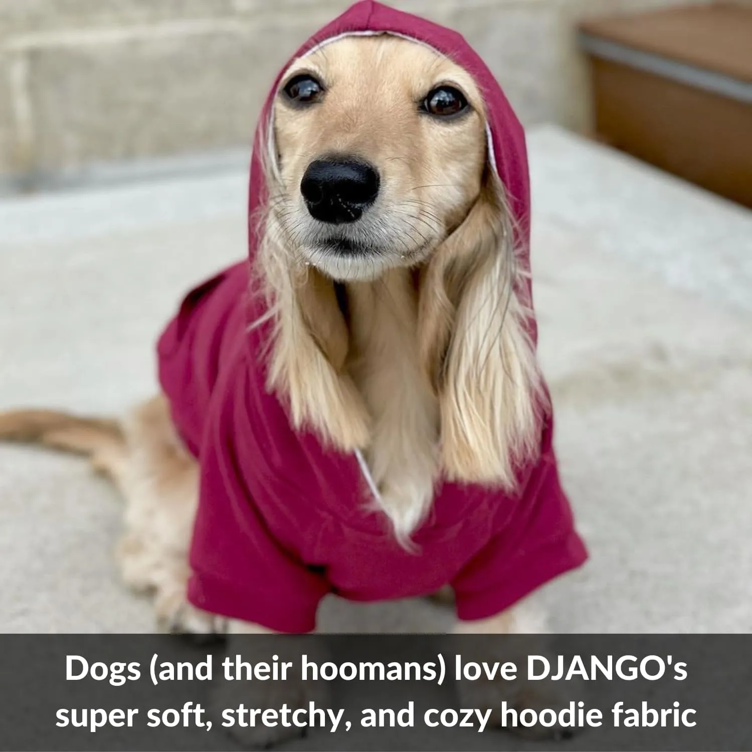 DJANGO Fully Lined Hoodie for Dog - Soft, Stretchy, and Cozy Sweatshirts for Dogs - Heather Grey Winter Dog Sweaters for Dachshunds and Small Dogs - Warm Dog Hoodie Medium with Elastic Waistband