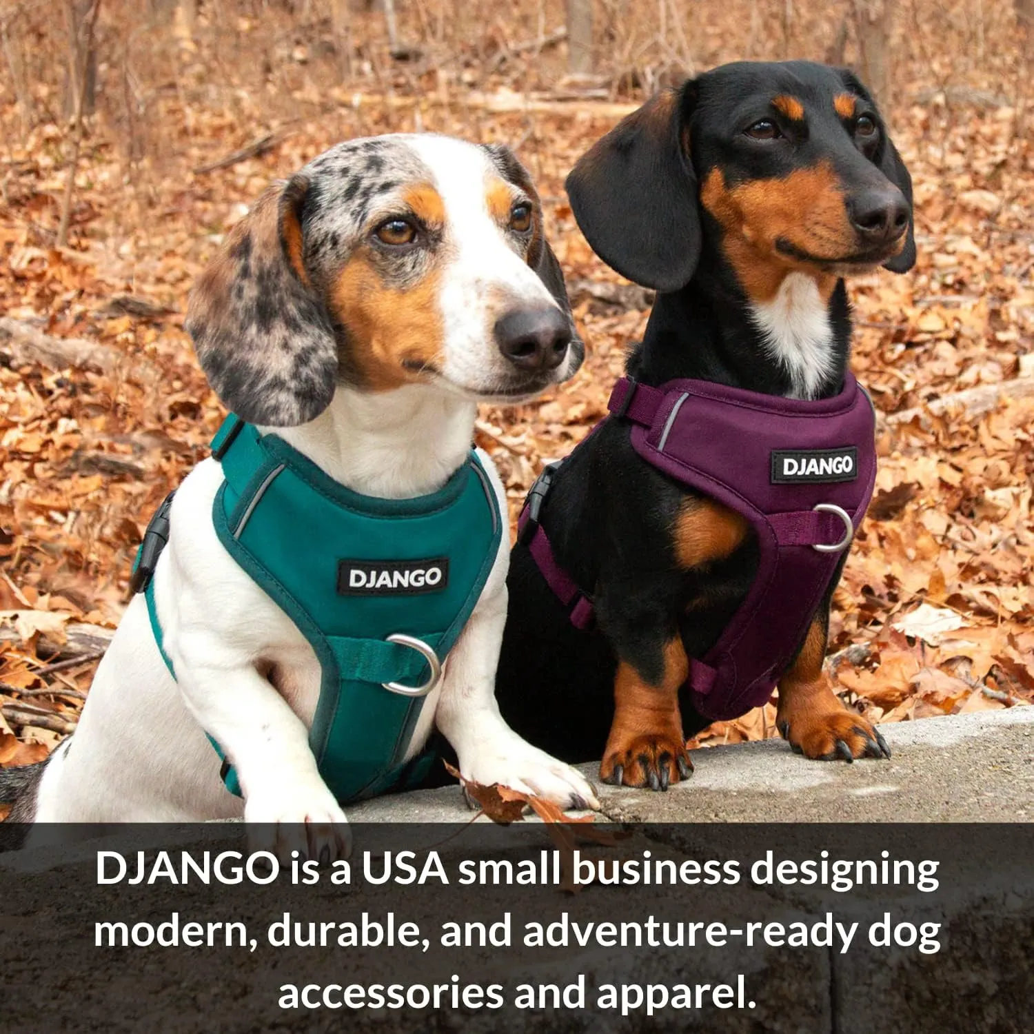 DJANGO Fully Lined Hoodie for Dog - Soft, Stretchy, and Cozy Sweatshirts for Dogs - Heather Grey Winter Dog Sweaters for Dachshunds and Small Dogs - Warm Dog Hoodie Medium with Elastic Waistband