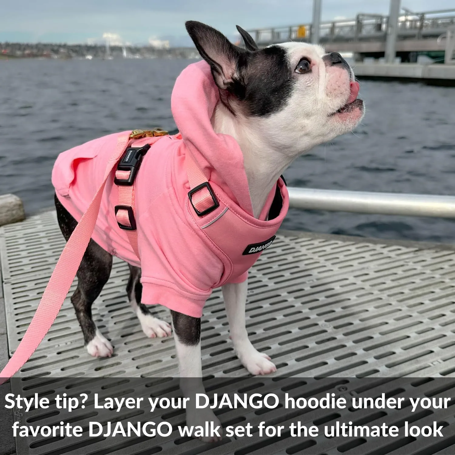 DJANGO Fully Lined Hoodie for Dog - Soft, Stretchy, and Cozy Sweatshirts for Dogs - Heather Grey Winter Dog Sweaters for Dachshunds and Small Dogs - Warm Dog Hoodie Medium with Elastic Waistband