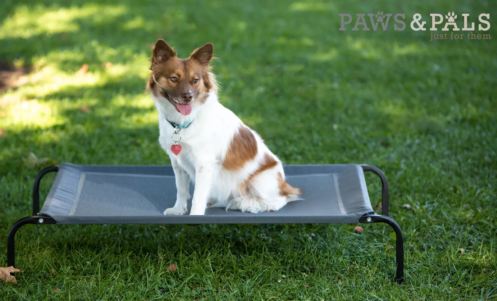 Dog Bed Elevated High Quality Camping for Dogs