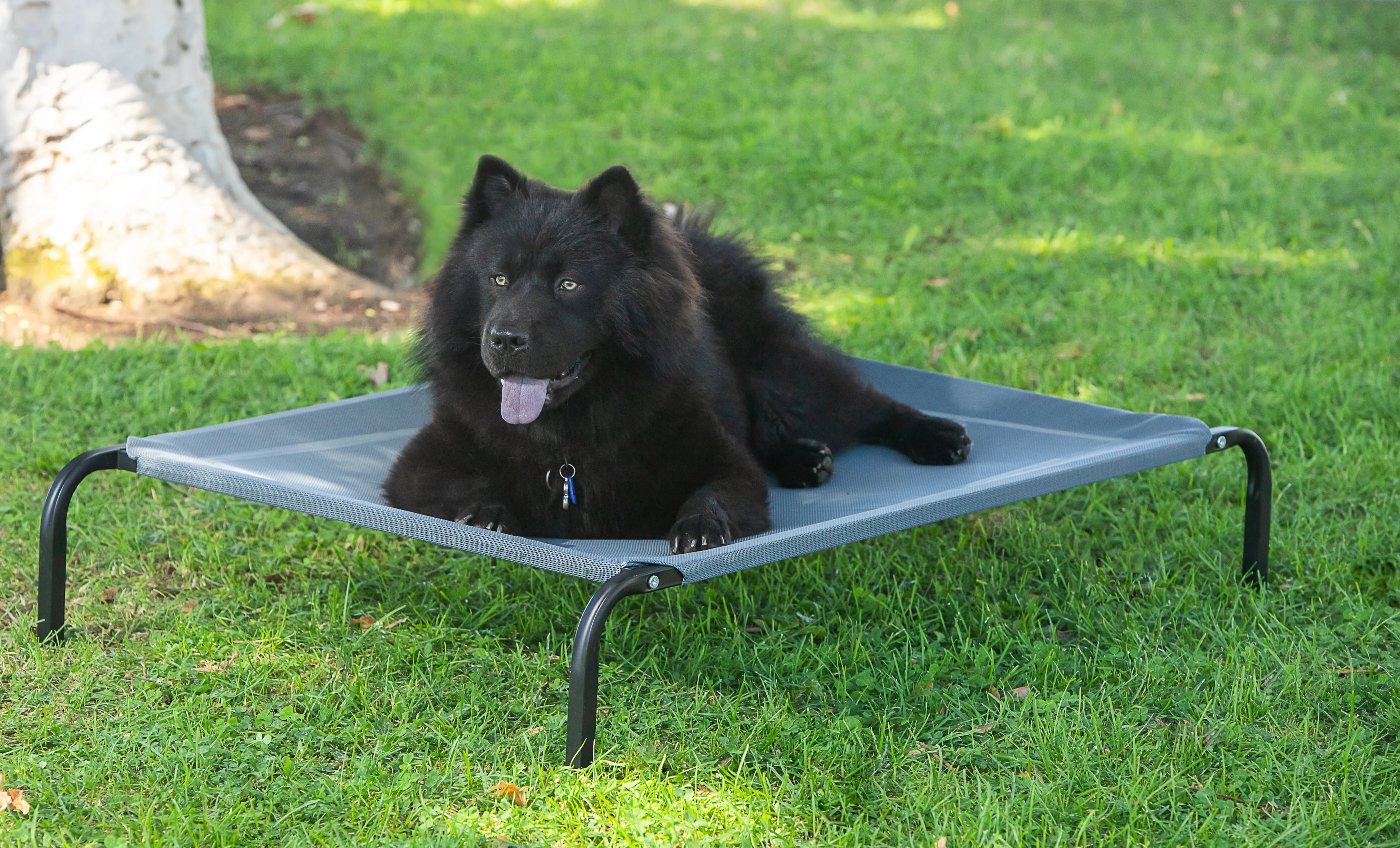 Dog Bed Elevated High Quality Camping for Dogs