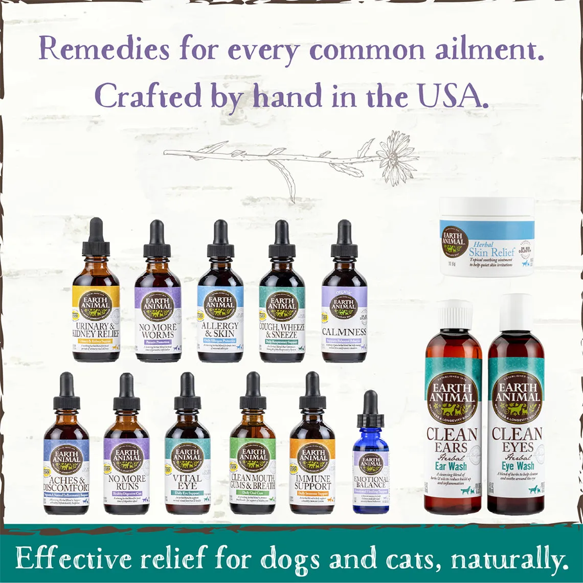 Earth Animal Herbal Topical Remedies Clean Ears Wash for Dogs