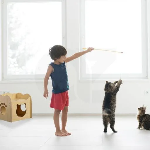 Floofi Pet House Wooden Cat Paw Shape Hole Table Pet Supplies Cat House Pet Furniture Cat Platform Nest Cave Double Cat