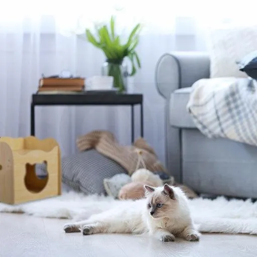 Floofi Pet House Wooden Cat Paw Shape Hole Table Pet Supplies Cat House Pet Furniture Cat Platform Nest Cave Double Cat