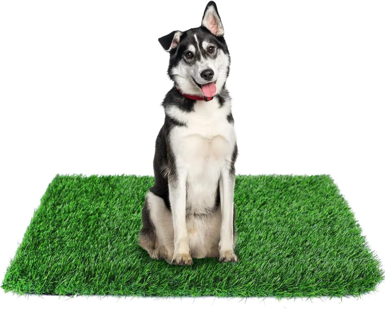 GLOBREEN 34" x 23" Fake Grass Pee Pad for Dogs Potty Training Turf Pets Mat - Indoor Outdoor Use
