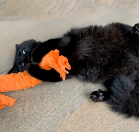 Happy Hours of Fun Catnip & Silvervine Kicker - Orange