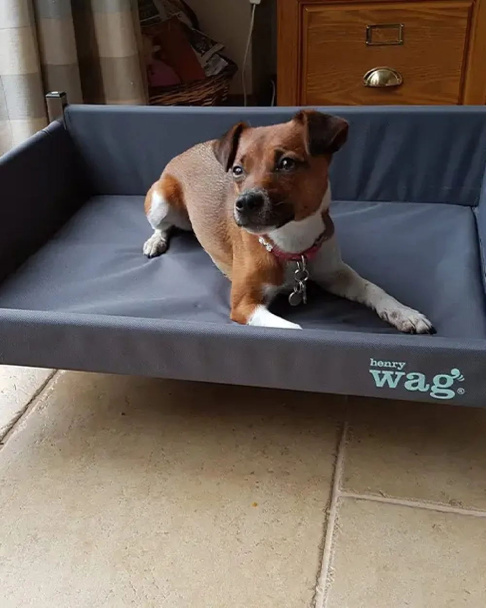 Henry Wag Elevated Dog Bed