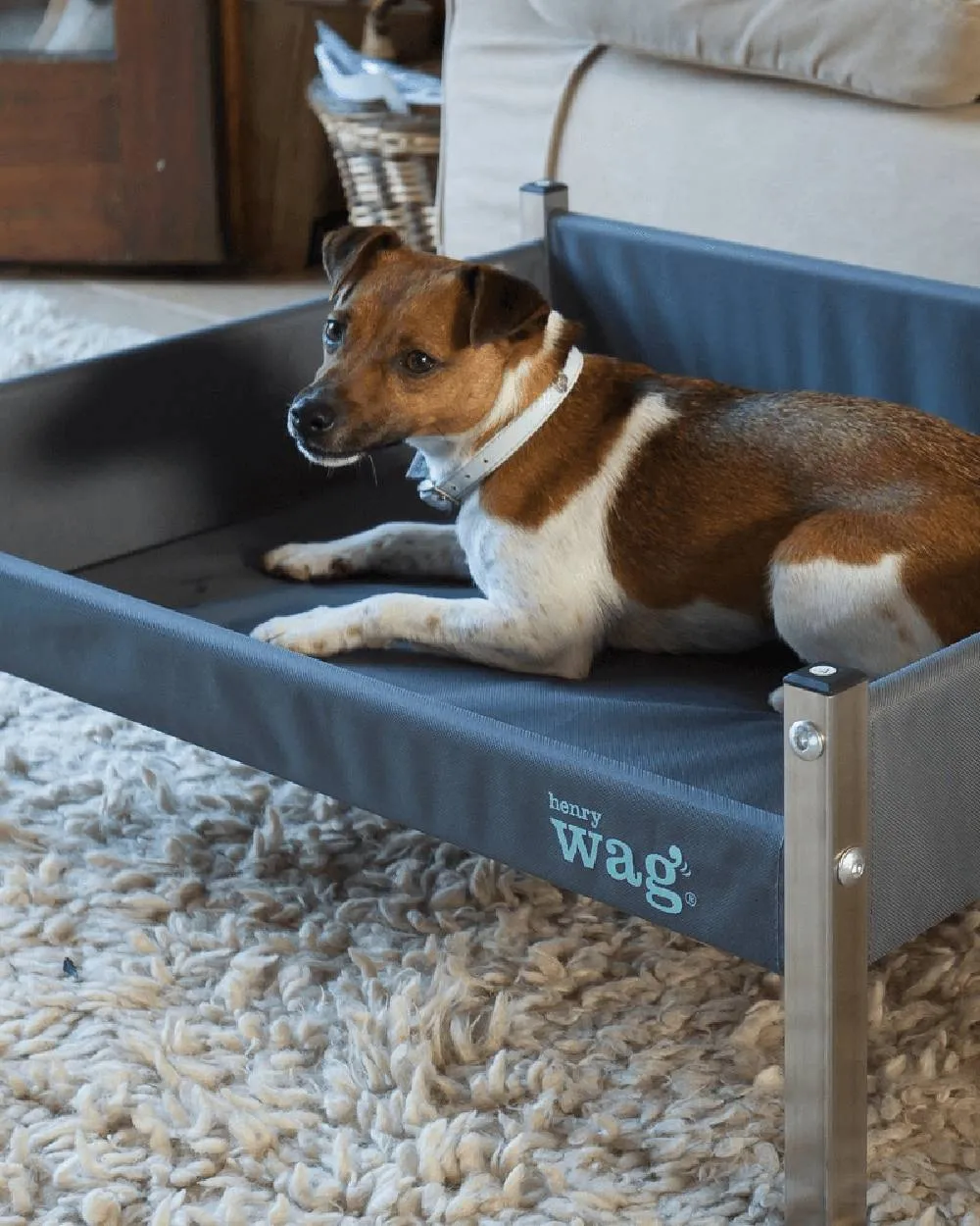 Henry Wag Elevated Dog Bed
