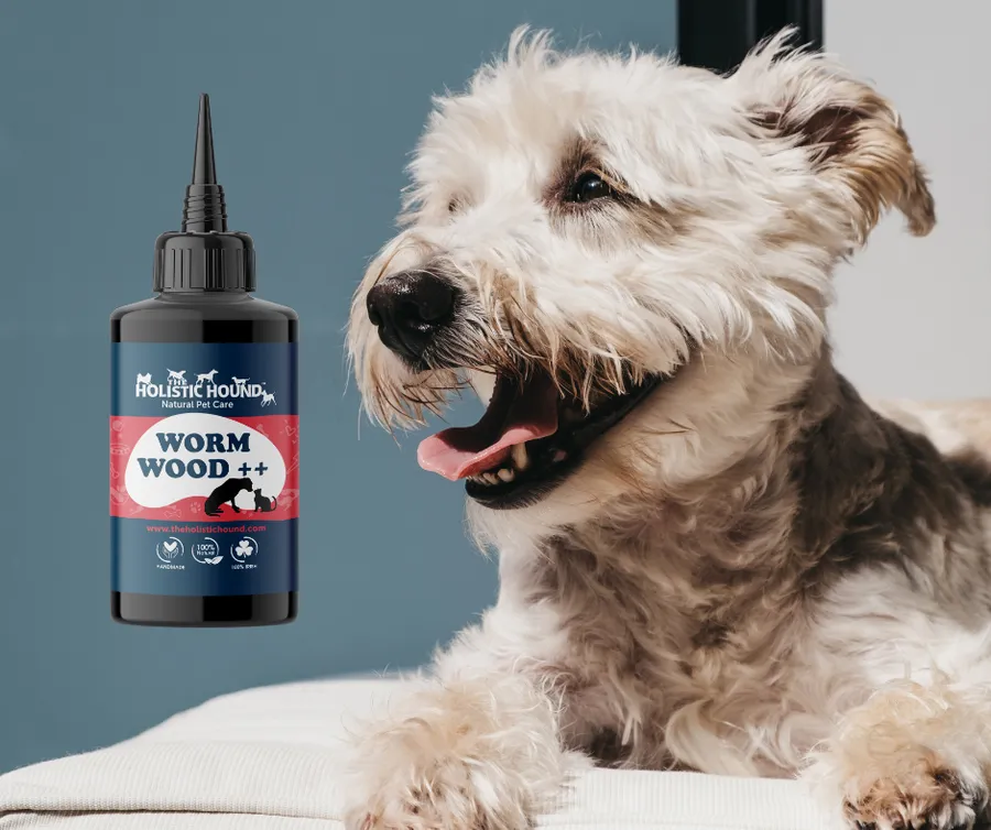 Holistic Hound Dog Care Worms Away