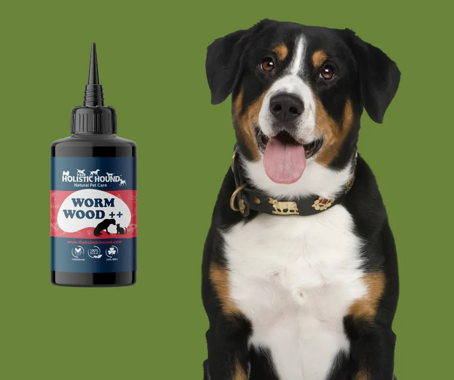 Holistic Hound Dog Care Worms Away
