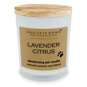 Lavender Citrus Pet Deodorizing