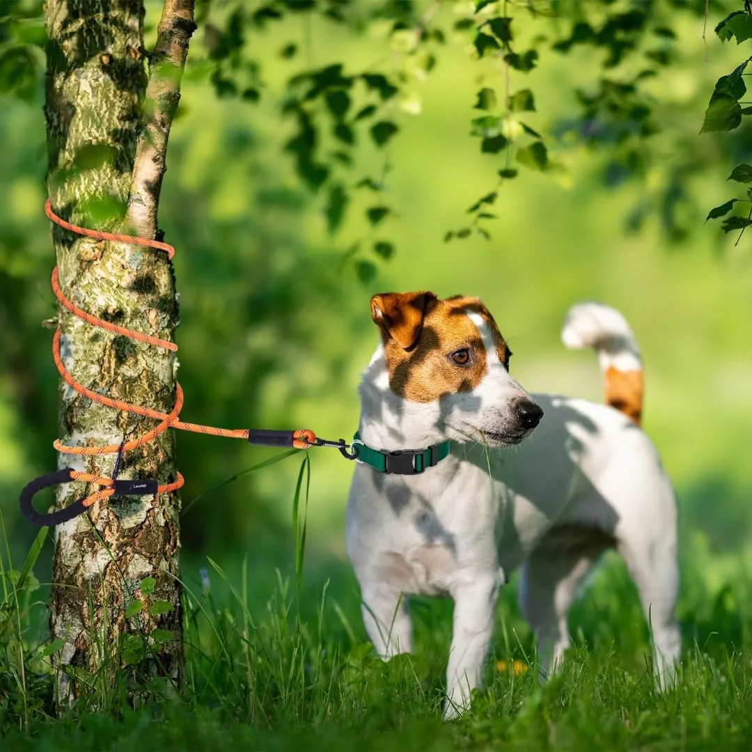 Long Leash for Dogs 10ft 16ft 30ft 50 Feet 100 Foot Tie Out Check Cord Recall Obedience Rope Lead Extra Longline Long Dog Leash for Small Medium Large Dogs Outdoor Training Camping Tracking