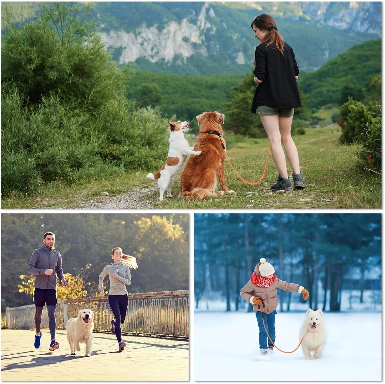 Long Leash for Dogs 10ft 16ft 30ft 50 Feet 100 Foot Tie Out Check Cord Recall Obedience Rope Lead Extra Longline Long Dog Leash for Small Medium Large Dogs Outdoor Training Camping Tracking