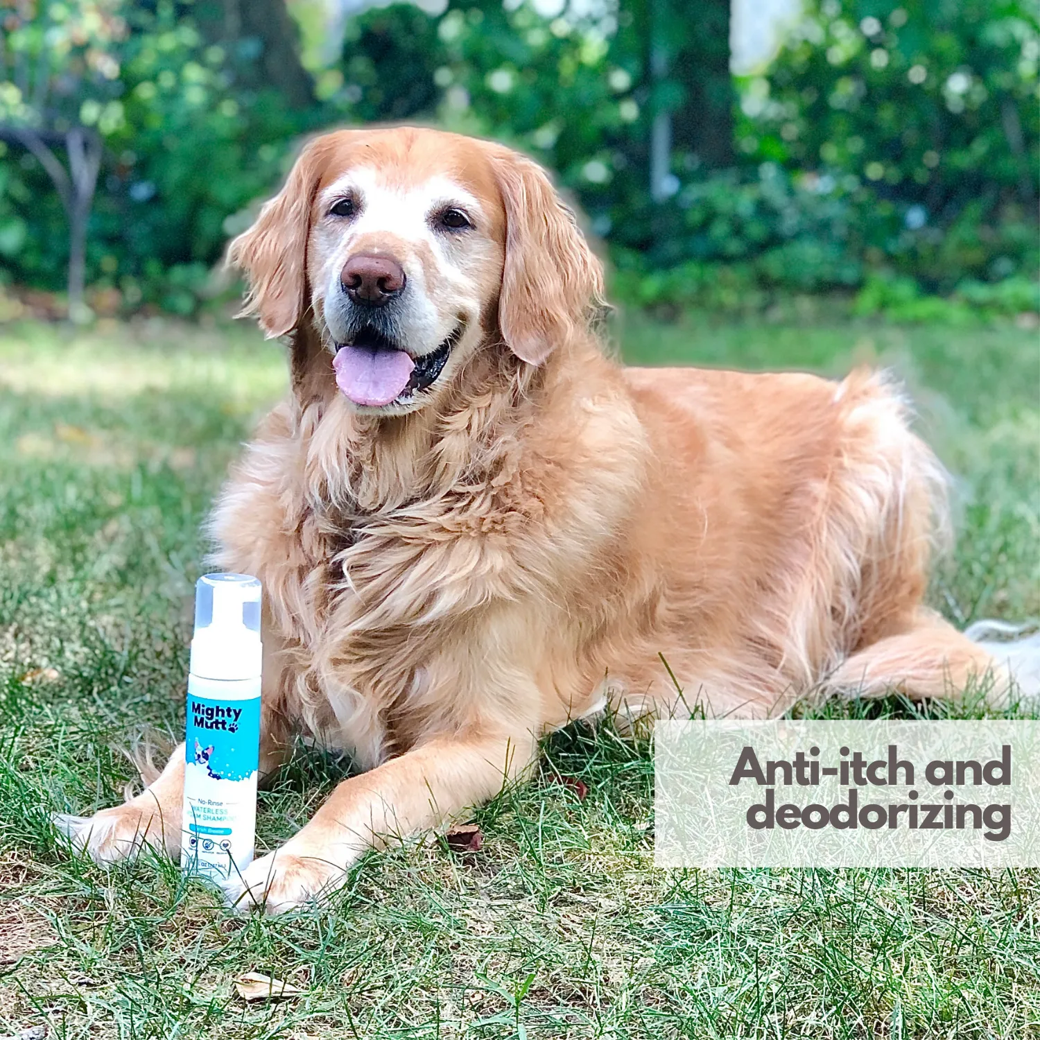 Mighty Mutt Waterless Foam Dog Shampoo - Anti-Itch, Deodorizing, Hypoallergenic - 8oz