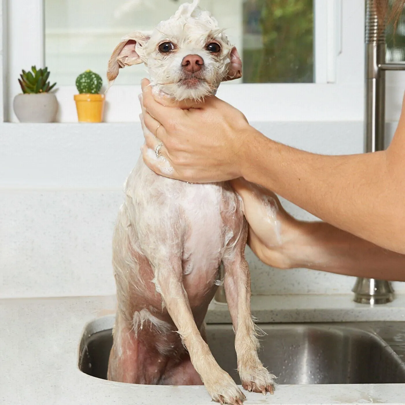 Natural Oatmeal Shampoo - Gallon