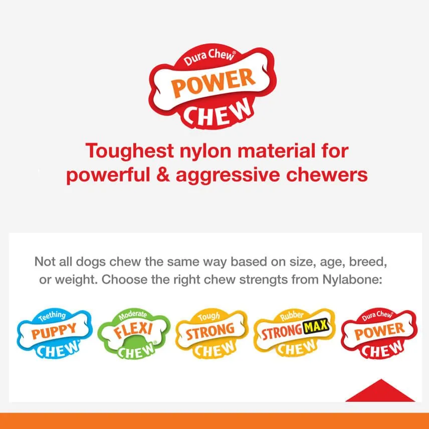 Nylabone Big Chews for Big Dogs