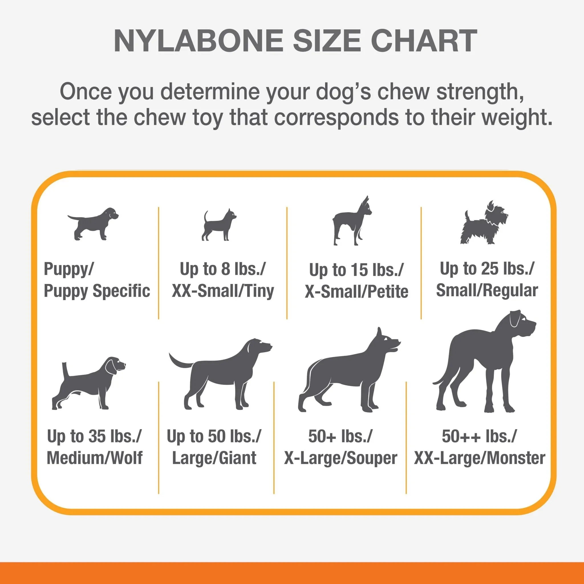 Nylabone Big Chews for Big Dogs