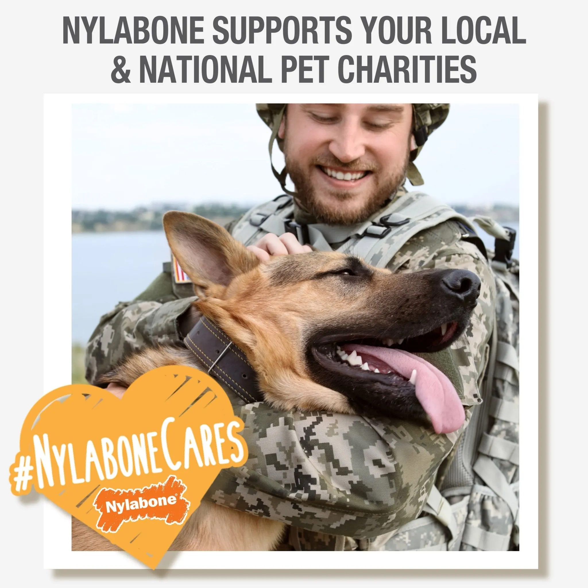 Nylabone Big Chews for Big Dogs