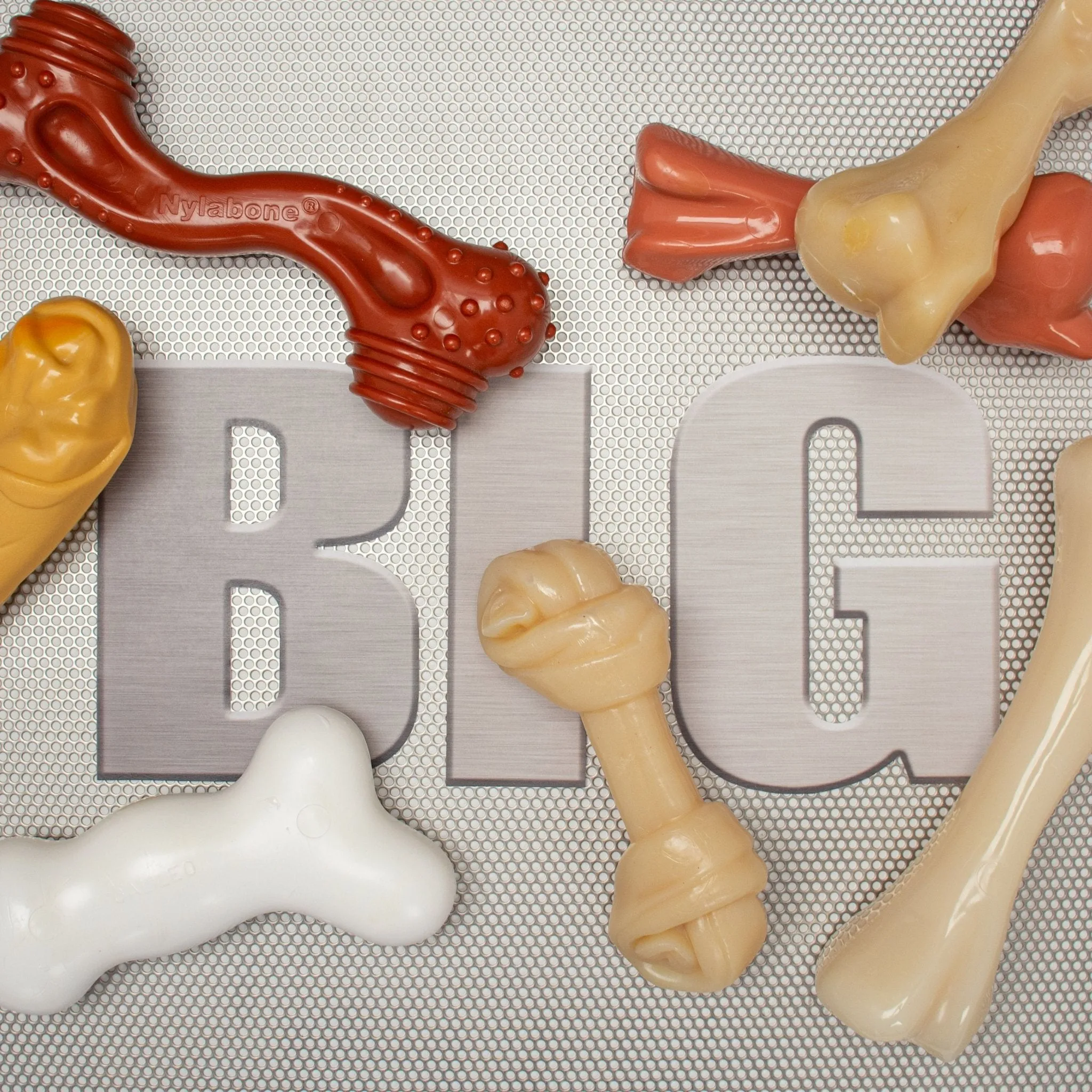 Nylabone Big Chews for Big Dogs