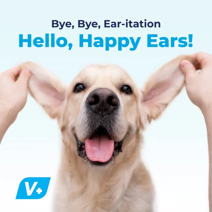 Oticbliss™ Advanced Cleaning Ear Wipes - 100 ct