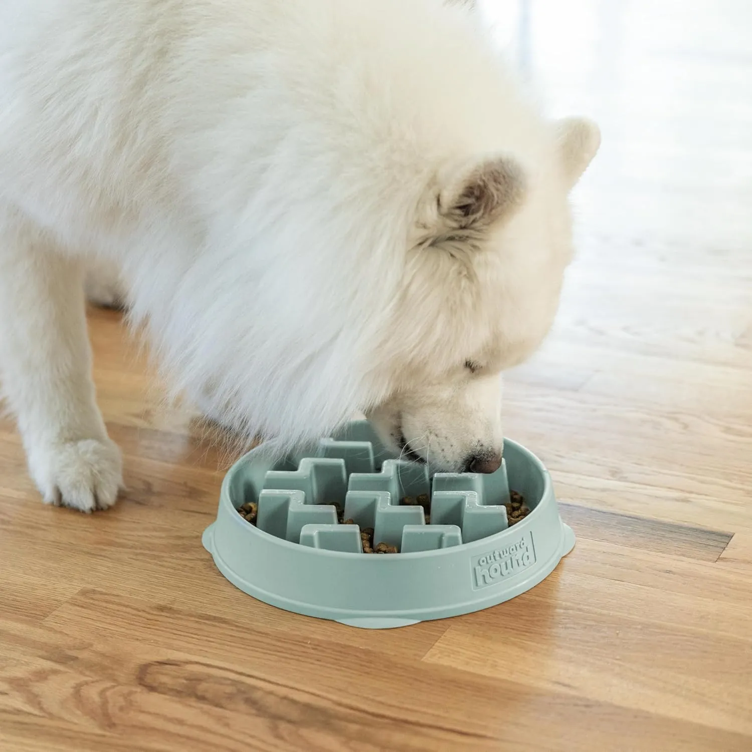 Outward Hound Fun Feeder Slo Bowl, Large Slow Feeder Dog Bowl, 4 Cups, Sage