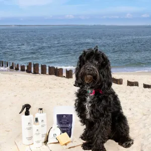 Pawdaw of London Luxury Pamper Gift Box