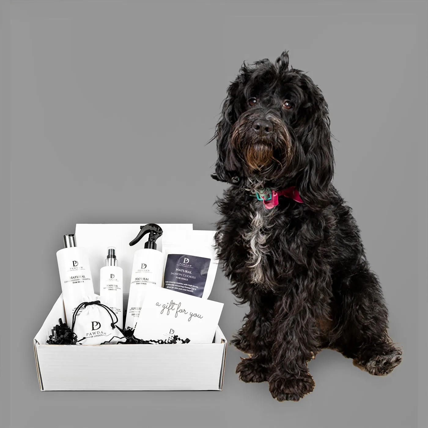 Pawdaw of London Luxury Pamper Gift Box