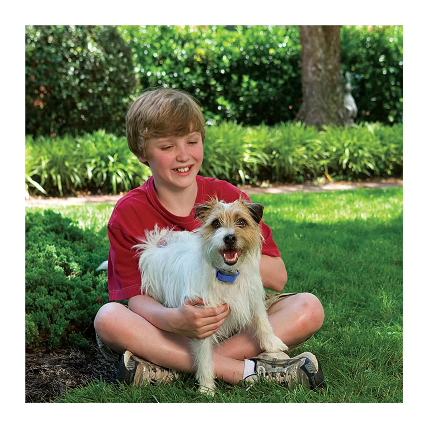 PetSafe Elite Little Dog Spray Bark Control Dog Collar